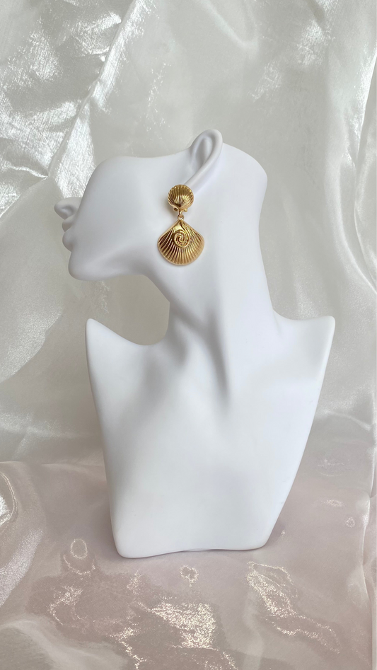 Shell Gold Earrings