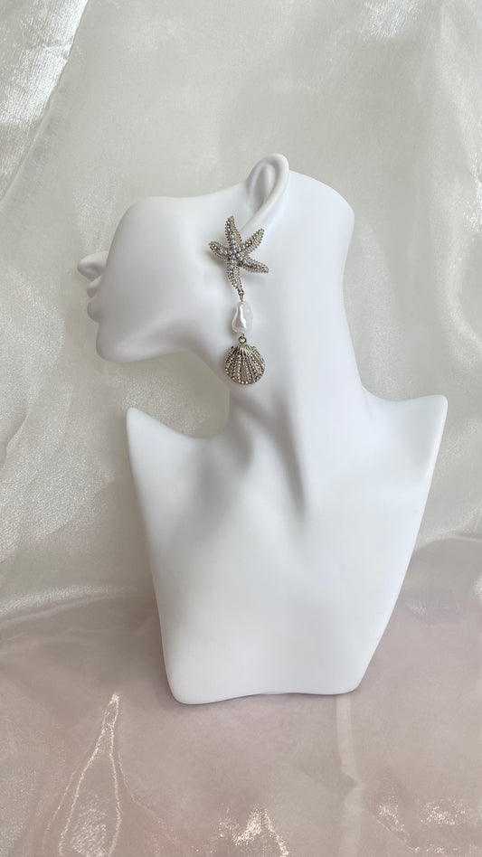 Star Shell earrings